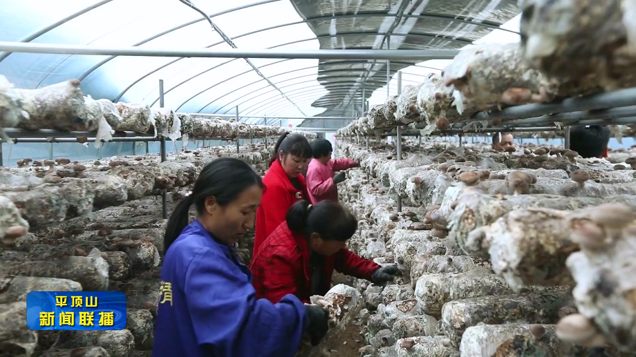 微信圖片_20211202085931.png 微信圖片_20211202085931.png