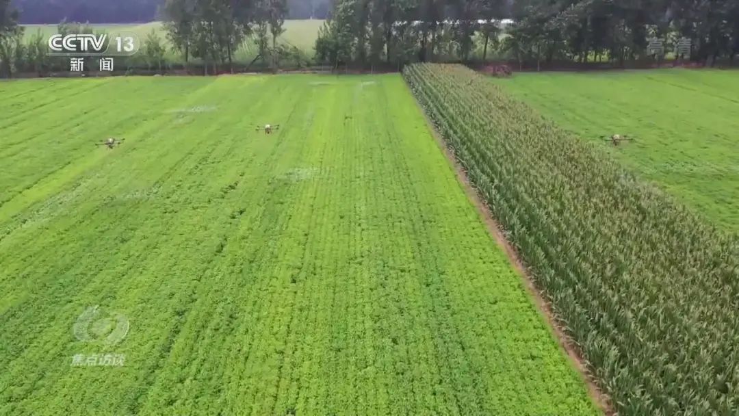 微信圖片_20220116110338.jpg 微信圖片_20220116110338.jpg